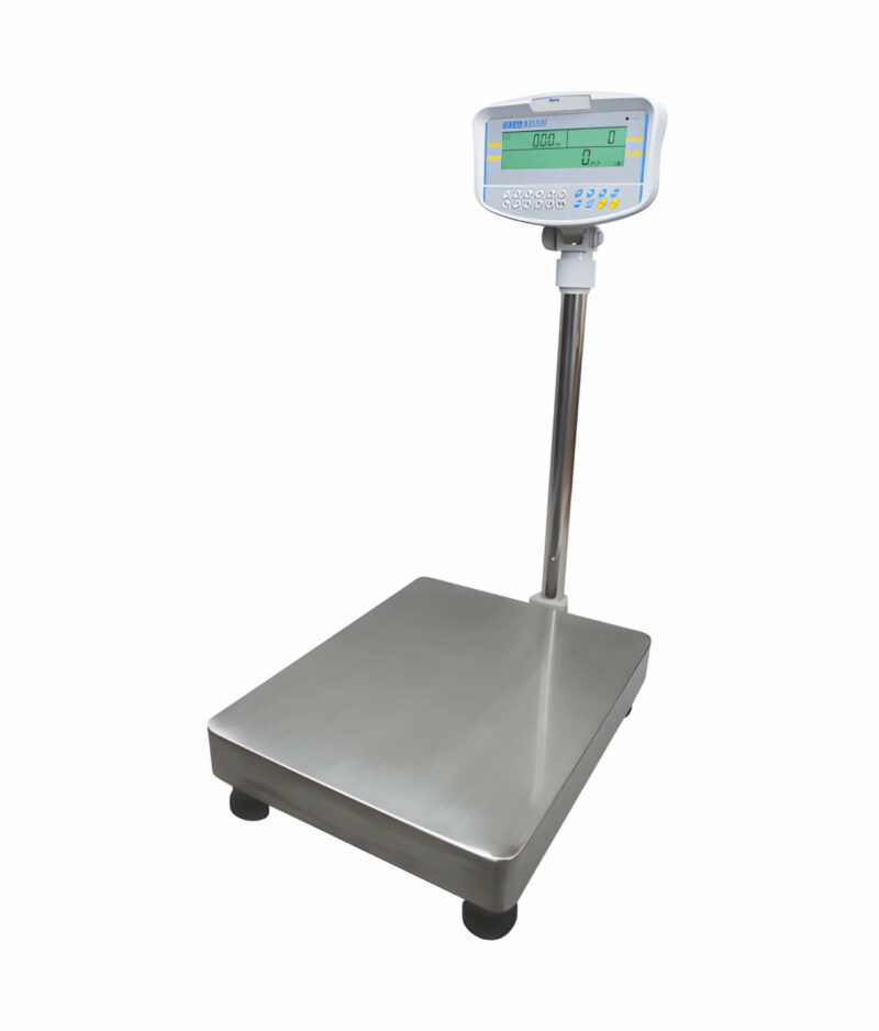 GFC Floor Counting Scale 2
