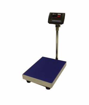 CNP Floor Scale Featured