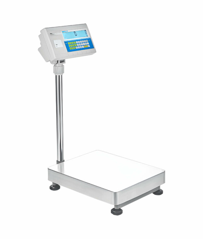 BCT Bench and Floor Counting Scale 1