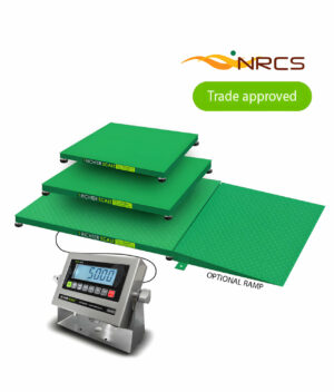 W113 Floor Checkweighing Scale 1
